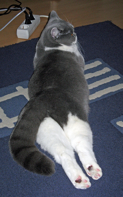 _线上线下结合打造智慧网球比赛体验_，线上线下比赛什么意思