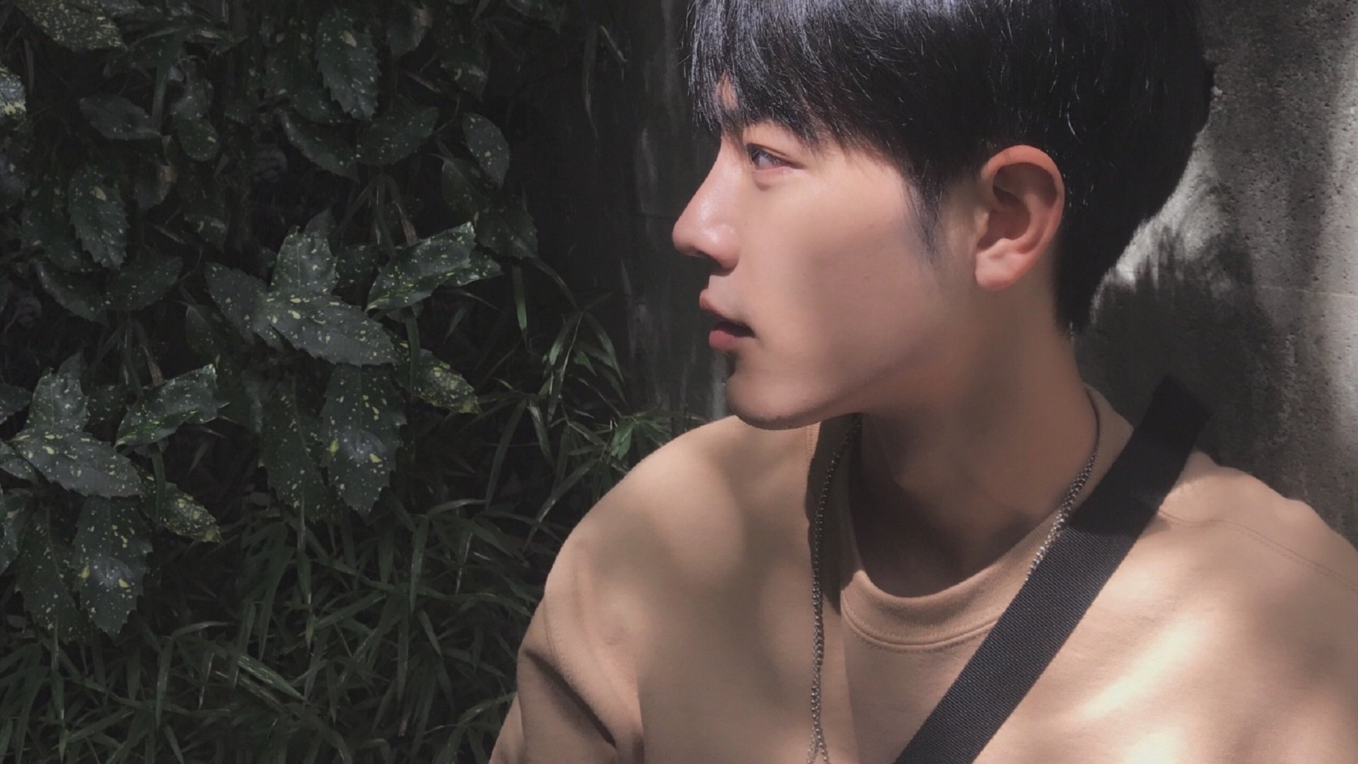 未来战略:数字化、智能化推动联盟迈向新时代,数字化智能化发展