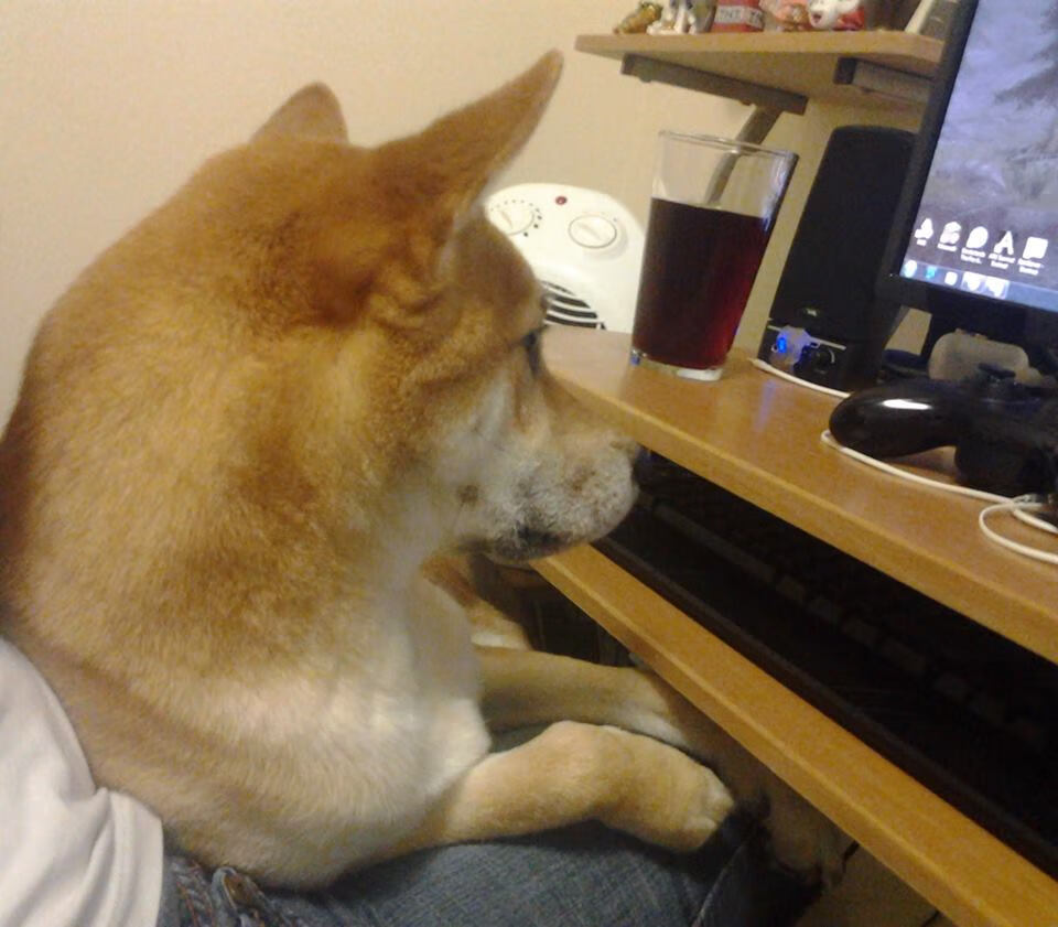 乐鱼体育平台官网-纳卡赫在巴黎奥运会男足比赛中展现出强大的进攻能力，纳卡尔诺卡拉巴赫