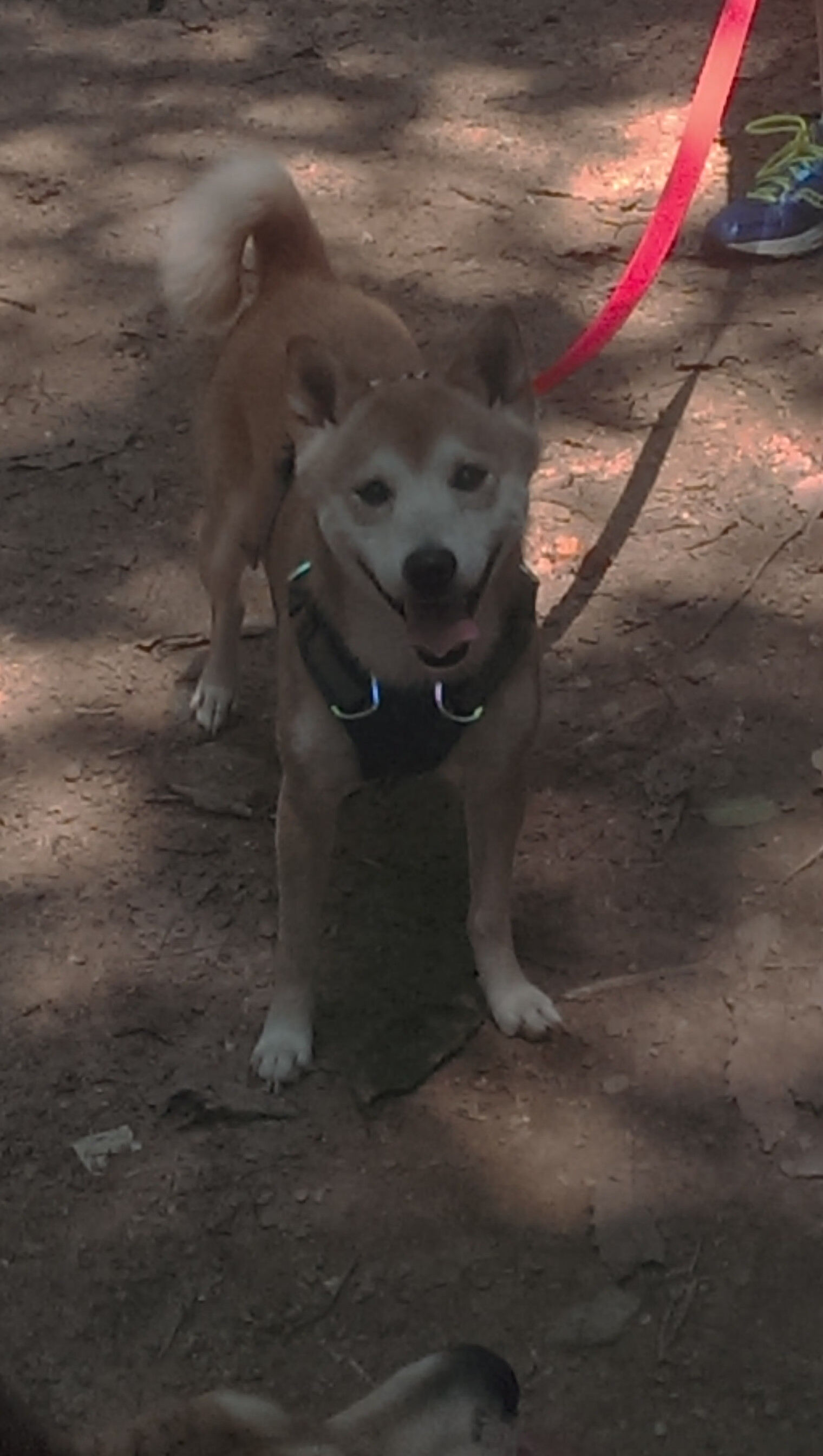 超越极限-大地飞车越野赛，速度与激情贯穿全场，山地越野飞车