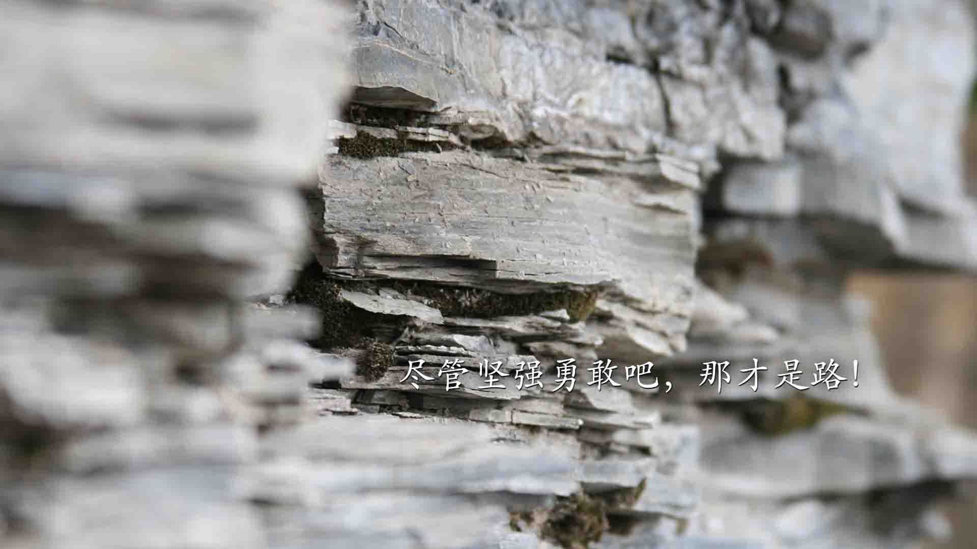 APP下载 LY Sports-逆天表现！曼城新星成为比赛MVP，曼城新队长是谁