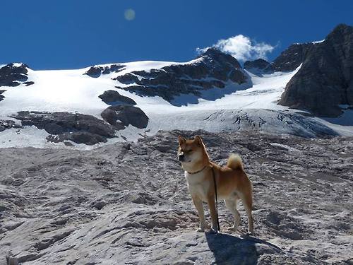 NBA × 电竞社交媒体活动热度飙升，知名电竞媒体