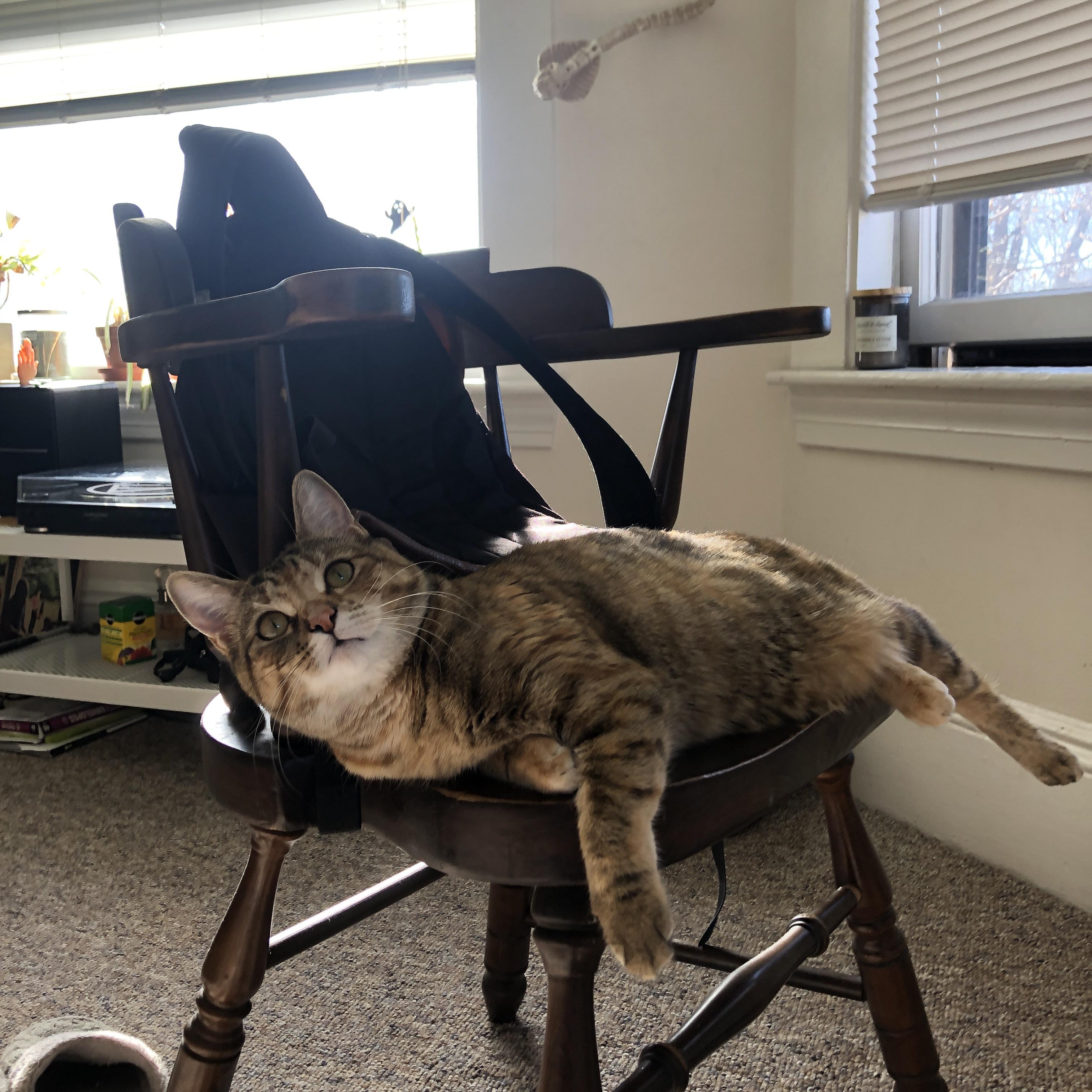 乐鱼电竞-LPL俱乐部培训营招募新一批数据分析师，ig数据分析师招聘