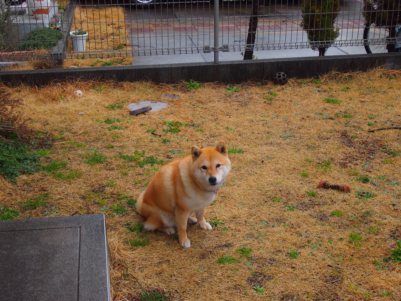 惊心动魄的比赛：双方实力对比让人无比期待，惊心动魄的比赛600字