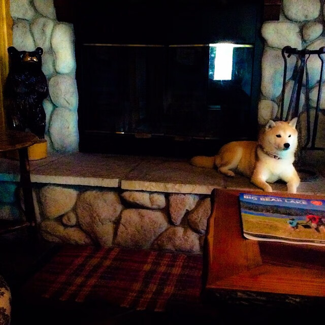 柏林赫塔-击败不莱梅,科尔代制胜入球,柏林赫塔对不莱梅