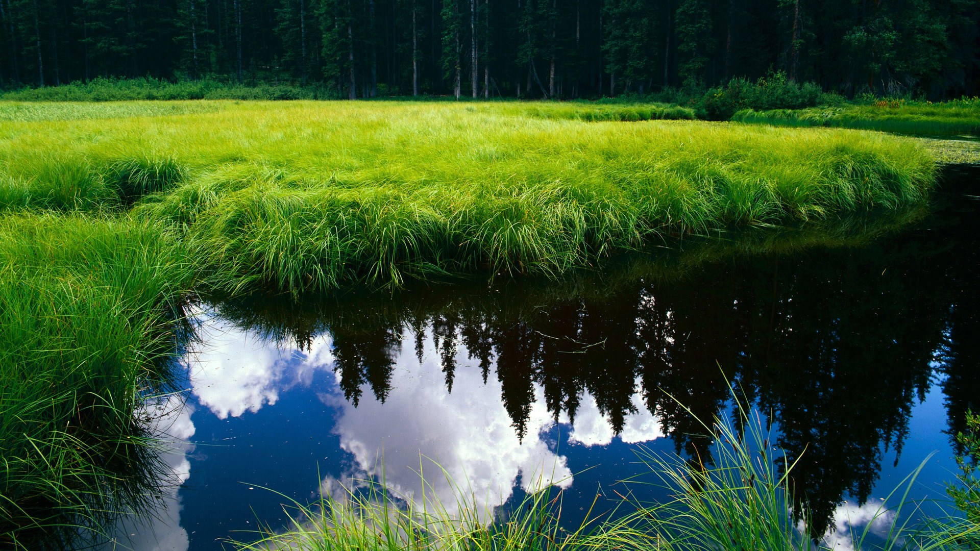 leyu乐鱼体育综合-电竞赛事数据分析技术在战术制定中的创新应用与实践，电竞赛事游戏数据分析师