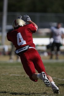 乐鱼（LEYU）体育-英超教练利用人工智能辅助赛前对手情报分析，英超的dna教练