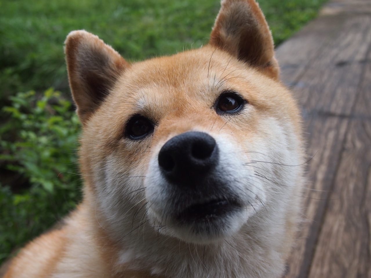 乐鱼体育-中国男篮加强训练节奏紧贴国际比赛需求，中国男篮新规则