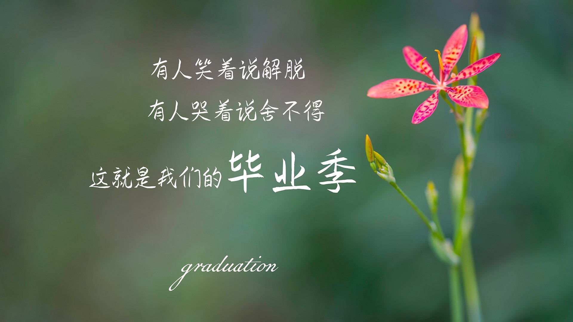 五大联赛球队控球节奏与对手压力构成战术破防关键,球队控卫