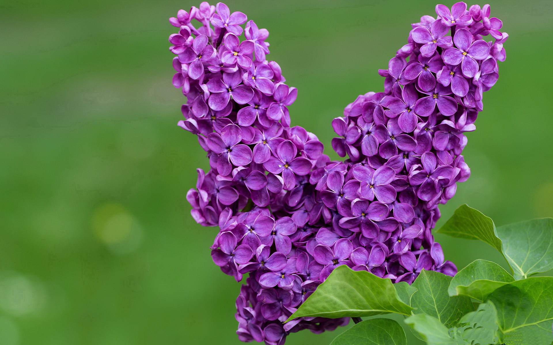 乐鱼电竞在线平台-体育新闻中心联合高校研究体育内容用户行为，学校体育研究热点