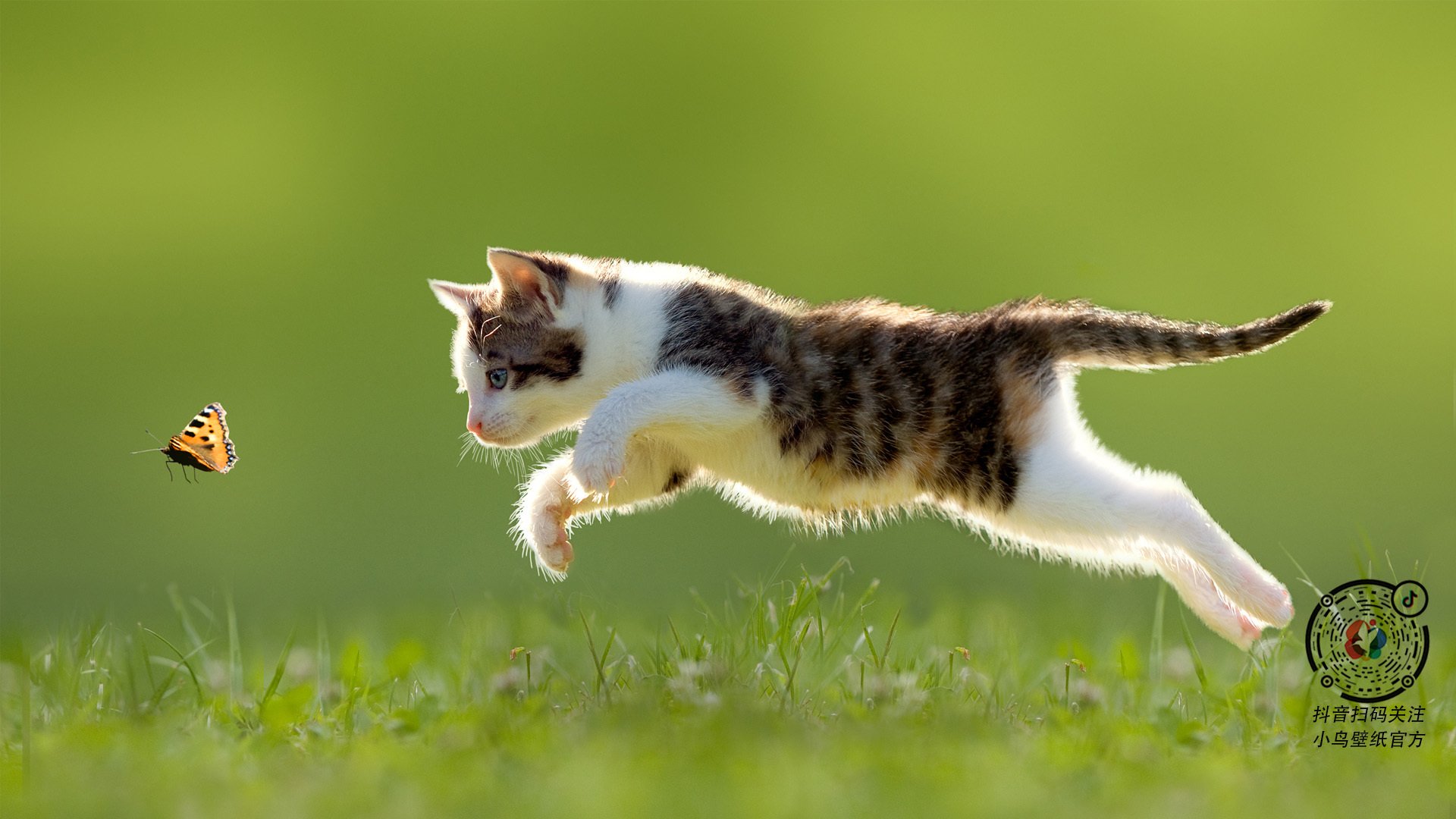 乐鱼电竞-“尼古拉斯·桑特基：阿根廷美洲狮队的进攻大师，未来更具竞争力”