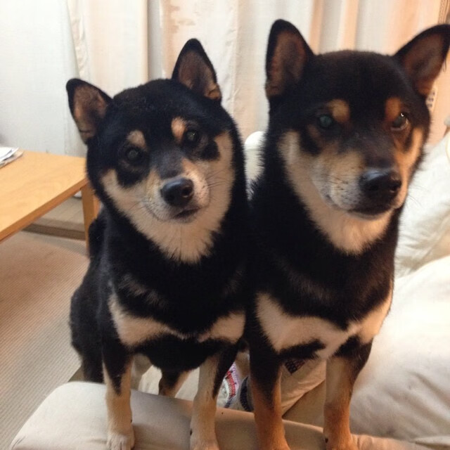 乐鱼体育登录-世界杯传奇夜：精彩瞬间永载史册！，世界杯百大传奇