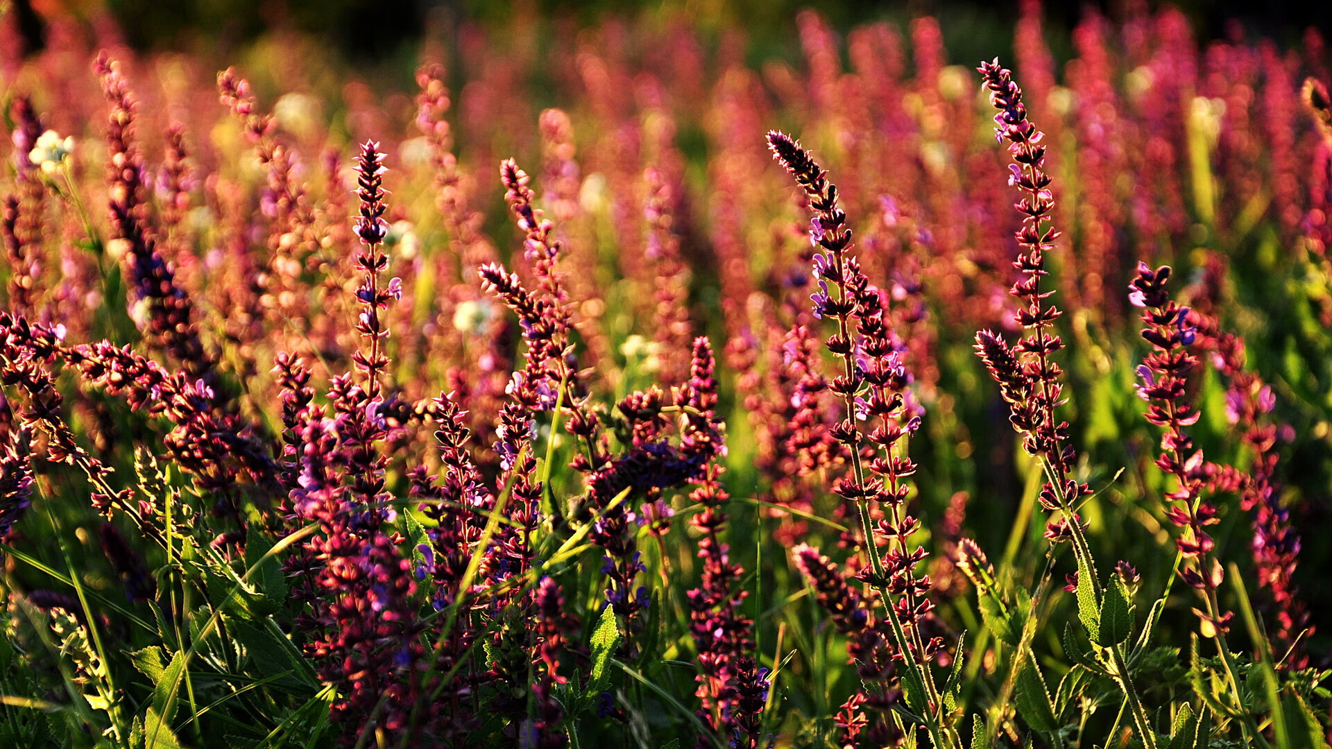 体育产业融资渠道拓展,体育产业融资渠道拓展方案