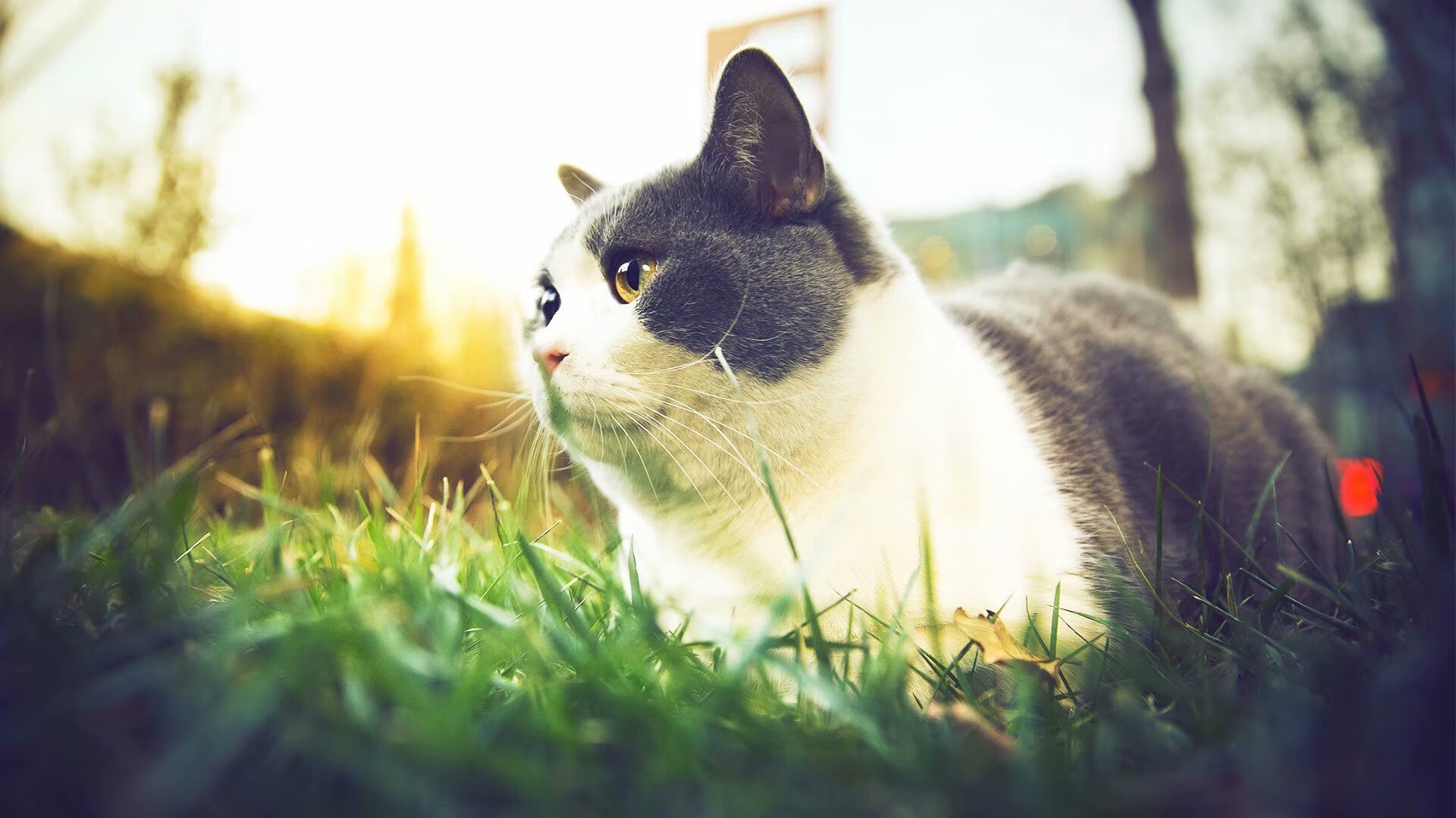 库里赛后与小球迷温情互动,库里和队友