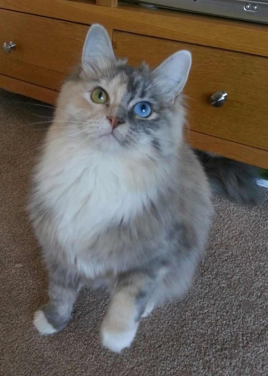 法国年轻天才崭露锋芒，被视作未来核心