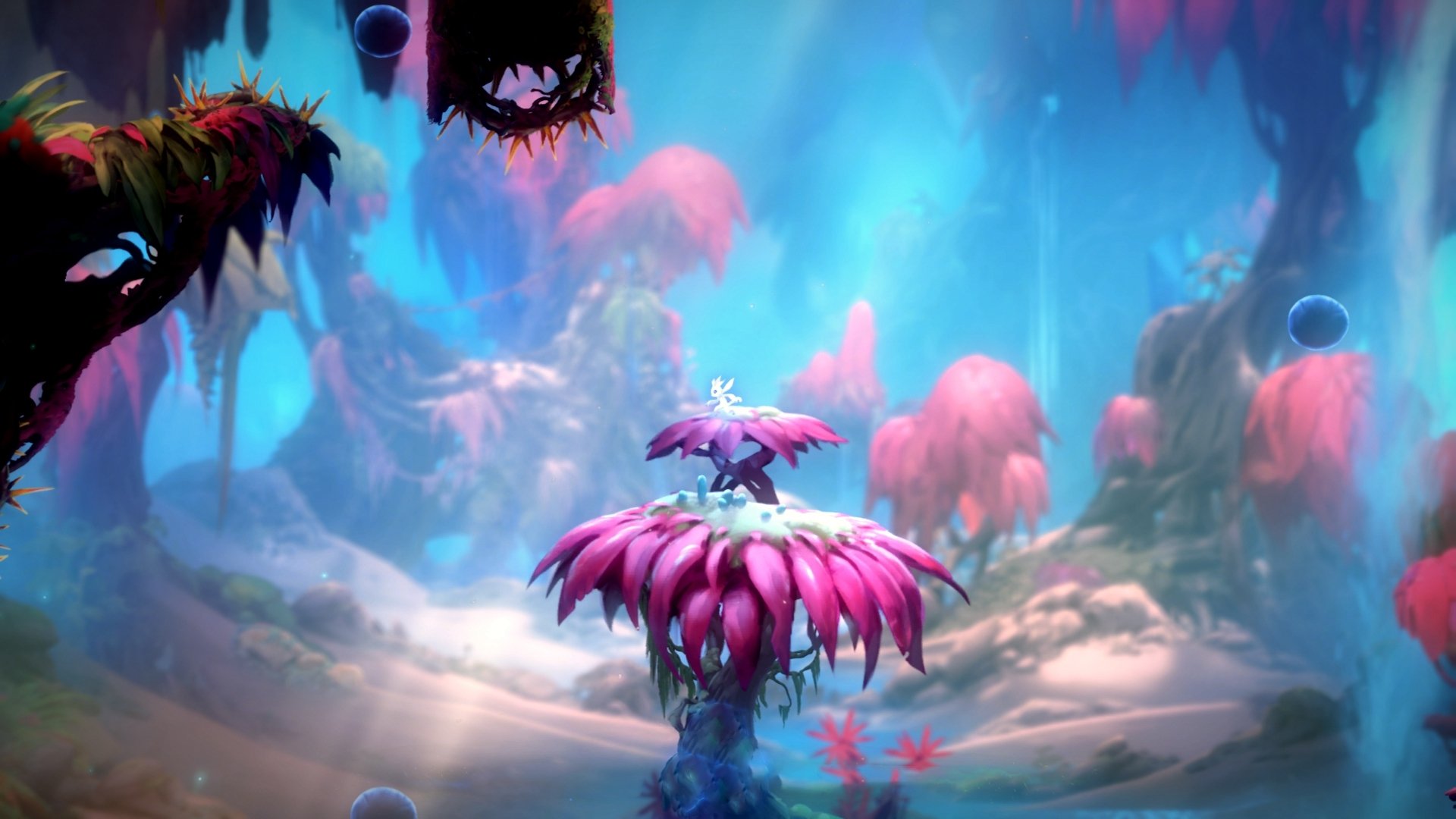 英格兰橄榄球注重环保赛事建设，英格兰橄榄球联赛