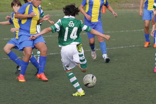 LEYU乐鱼体育官方网站-詹姆斯率队晋级四强NBA季后赛，詹姆斯季后赛40+全记录