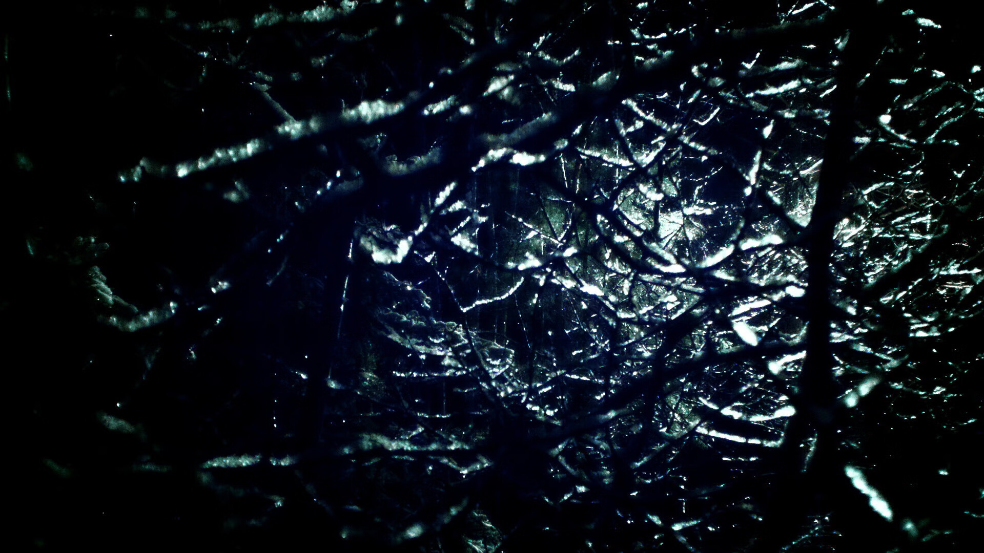 马术青少年训练计划全国推广，马术国家青少年队员名单